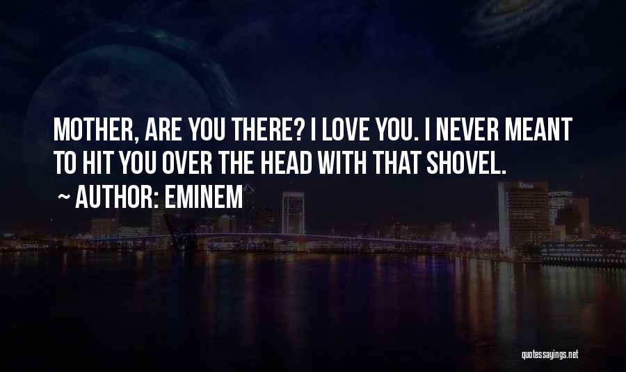 Eminem Quotes: Mother, Are You There? I Love You. I Never Meant To Hit You Over The Head With That Shovel.