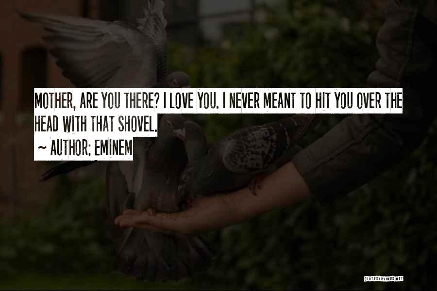 Eminem Quotes: Mother, Are You There? I Love You. I Never Meant To Hit You Over The Head With That Shovel.