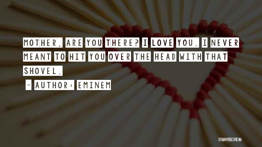 Eminem Quotes: Mother, Are You There? I Love You. I Never Meant To Hit You Over The Head With That Shovel.