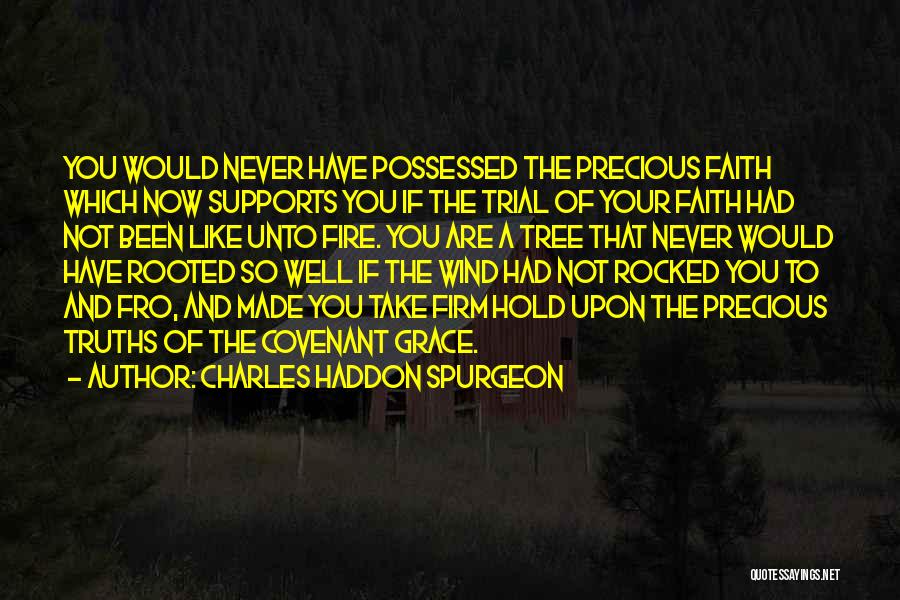 Charles Haddon Spurgeon Quotes: You Would Never Have Possessed The Precious Faith Which Now Supports You If The Trial Of Your Faith Had Not