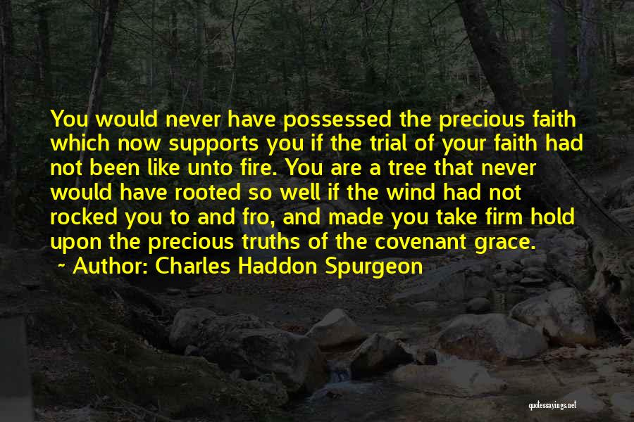 Charles Haddon Spurgeon Quotes: You Would Never Have Possessed The Precious Faith Which Now Supports You If The Trial Of Your Faith Had Not
