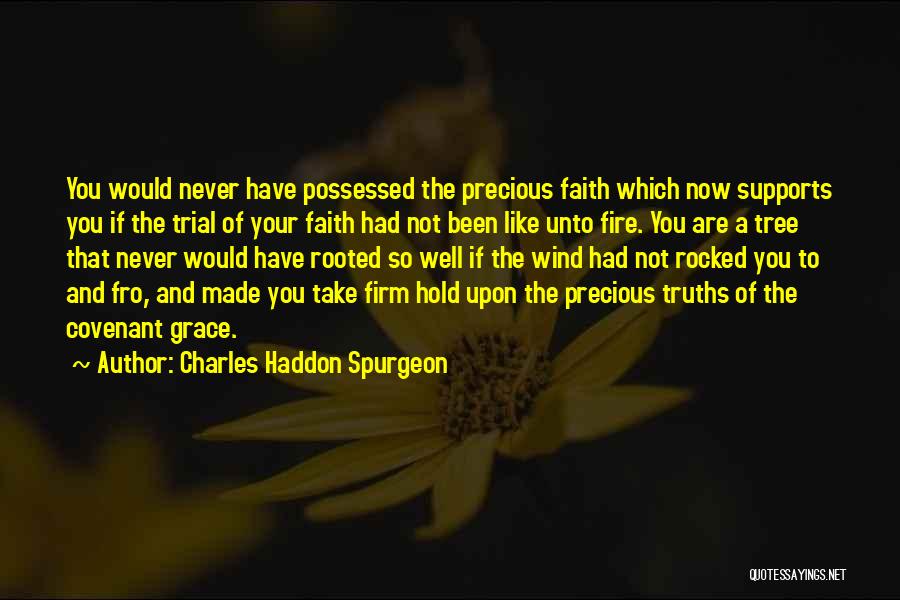Charles Haddon Spurgeon Quotes: You Would Never Have Possessed The Precious Faith Which Now Supports You If The Trial Of Your Faith Had Not
