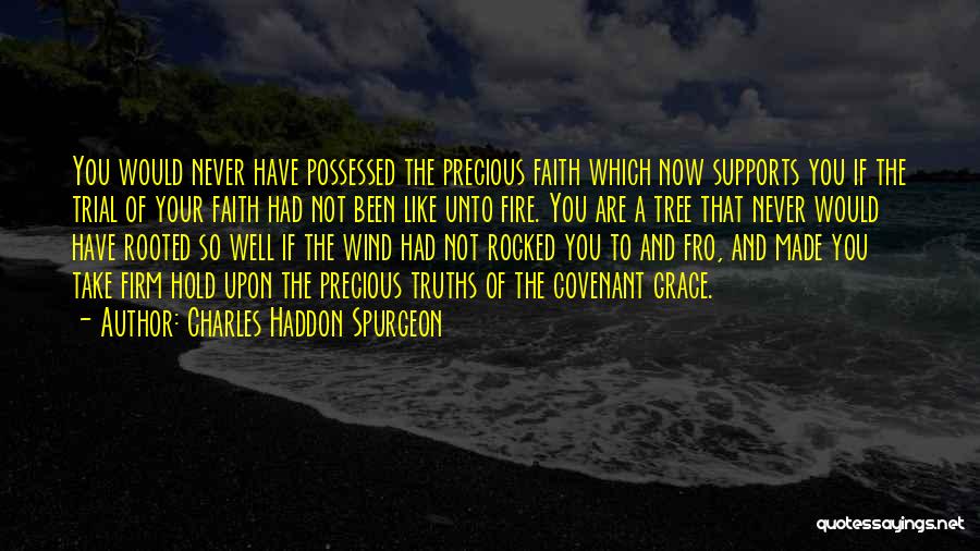 Charles Haddon Spurgeon Quotes: You Would Never Have Possessed The Precious Faith Which Now Supports You If The Trial Of Your Faith Had Not