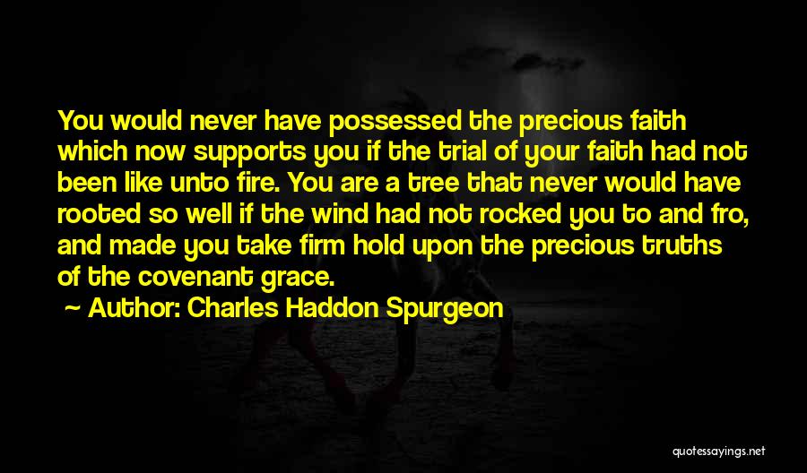 Charles Haddon Spurgeon Quotes: You Would Never Have Possessed The Precious Faith Which Now Supports You If The Trial Of Your Faith Had Not