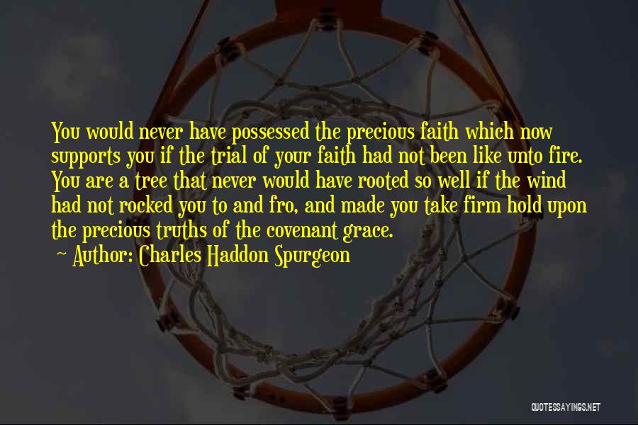 Charles Haddon Spurgeon Quotes: You Would Never Have Possessed The Precious Faith Which Now Supports You If The Trial Of Your Faith Had Not