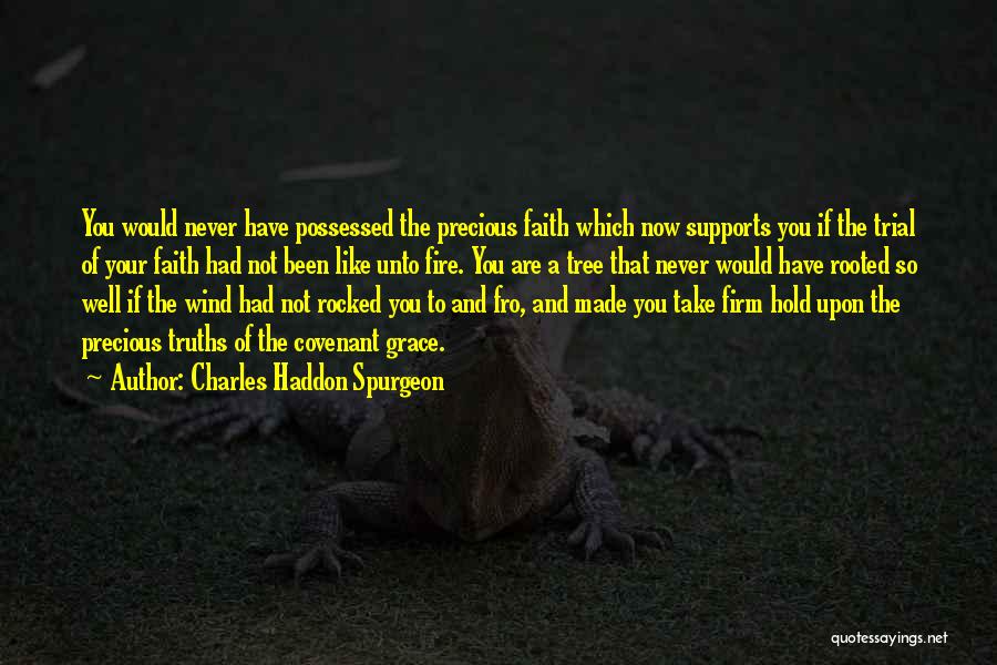 Charles Haddon Spurgeon Quotes: You Would Never Have Possessed The Precious Faith Which Now Supports You If The Trial Of Your Faith Had Not