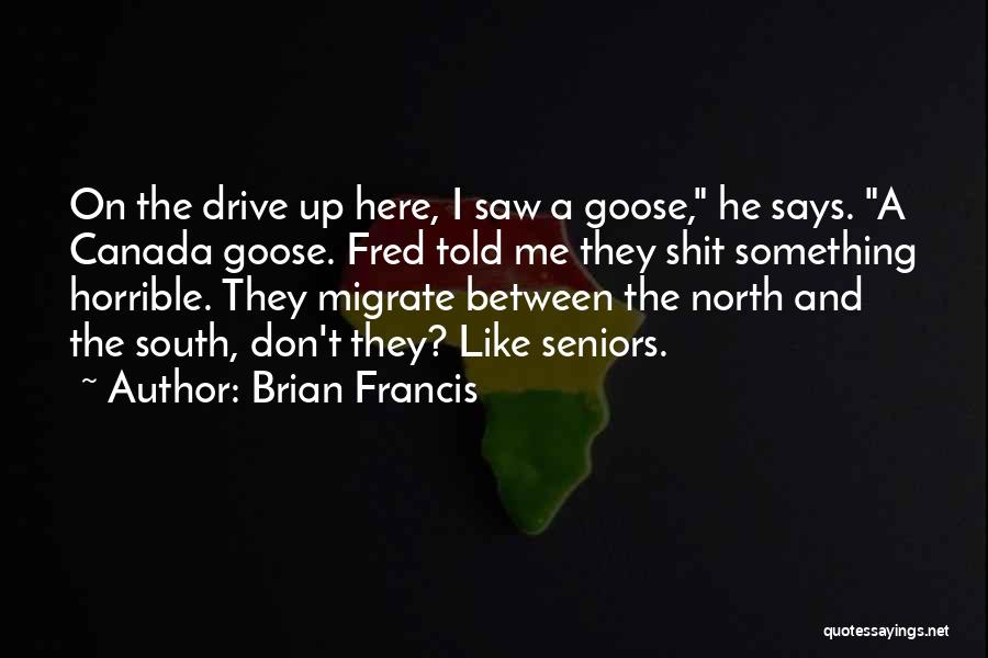 Brian Francis Quotes: On The Drive Up Here, I Saw A Goose, He Says. A Canada Goose. Fred Told Me They Shit Something