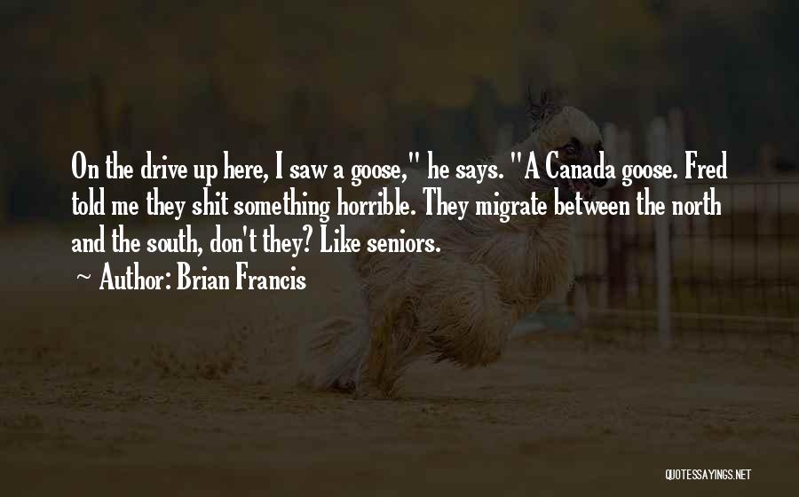 Brian Francis Quotes: On The Drive Up Here, I Saw A Goose, He Says. A Canada Goose. Fred Told Me They Shit Something