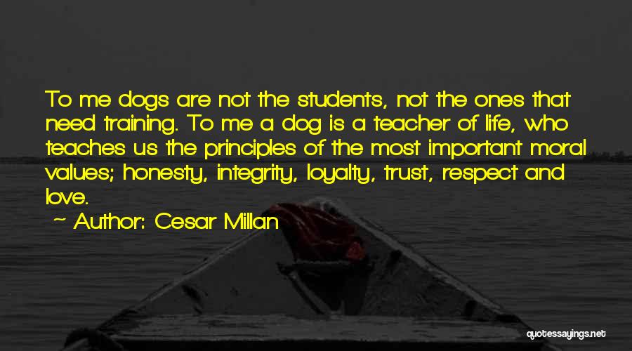 Cesar Millan Quotes: To Me Dogs Are Not The Students, Not The Ones That Need Training. To Me A Dog Is A Teacher
