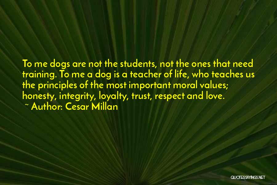 Cesar Millan Quotes: To Me Dogs Are Not The Students, Not The Ones That Need Training. To Me A Dog Is A Teacher