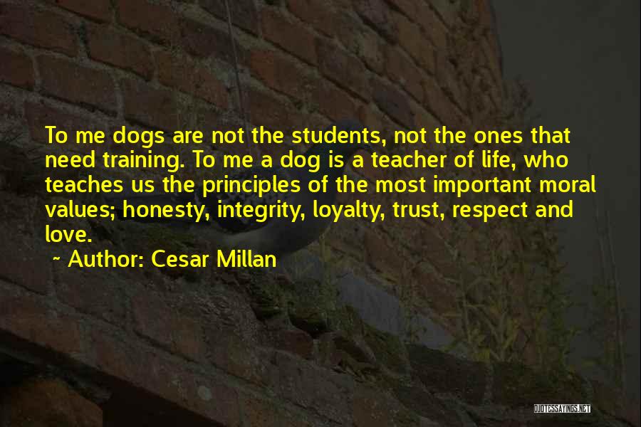 Cesar Millan Quotes: To Me Dogs Are Not The Students, Not The Ones That Need Training. To Me A Dog Is A Teacher