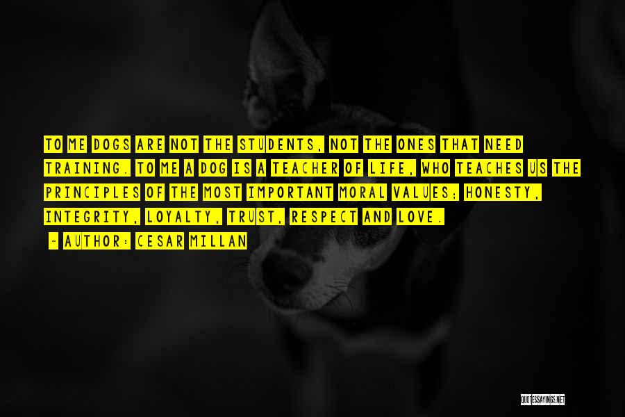 Cesar Millan Quotes: To Me Dogs Are Not The Students, Not The Ones That Need Training. To Me A Dog Is A Teacher