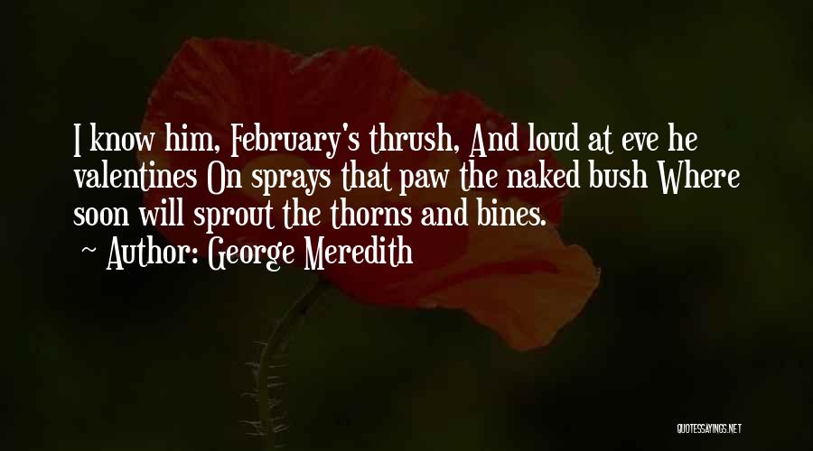George Meredith Quotes: I Know Him, February's Thrush, And Loud At Eve He Valentines On Sprays That Paw The Naked Bush Where Soon