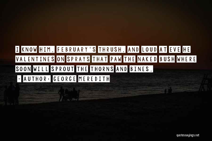 George Meredith Quotes: I Know Him, February's Thrush, And Loud At Eve He Valentines On Sprays That Paw The Naked Bush Where Soon