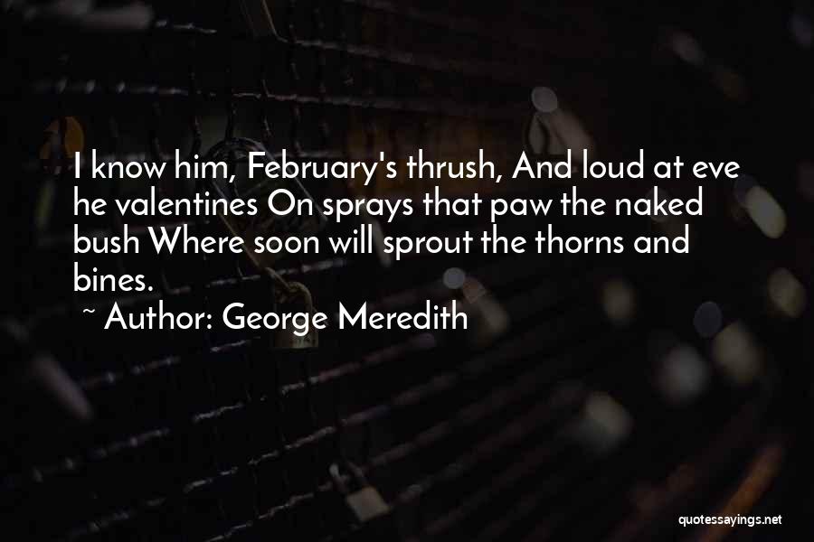 George Meredith Quotes: I Know Him, February's Thrush, And Loud At Eve He Valentines On Sprays That Paw The Naked Bush Where Soon