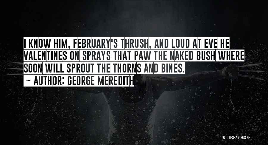 George Meredith Quotes: I Know Him, February's Thrush, And Loud At Eve He Valentines On Sprays That Paw The Naked Bush Where Soon