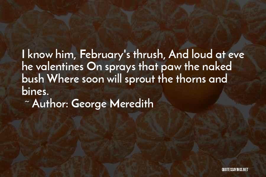 George Meredith Quotes: I Know Him, February's Thrush, And Loud At Eve He Valentines On Sprays That Paw The Naked Bush Where Soon