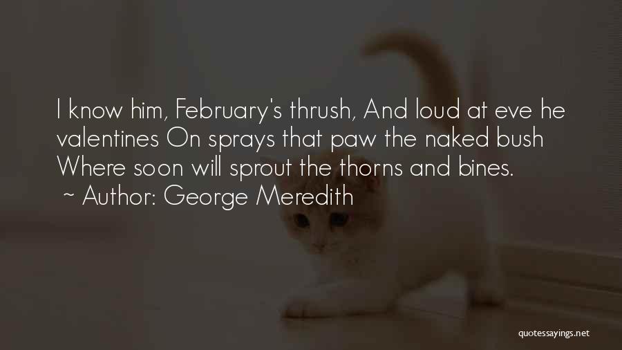 George Meredith Quotes: I Know Him, February's Thrush, And Loud At Eve He Valentines On Sprays That Paw The Naked Bush Where Soon