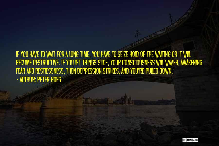 Peter Hoeg Quotes: If You Have To Wait For A Long Time, You Have To Seize Hold Of The Waiting Or It Will