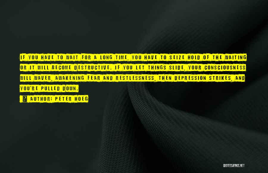 Peter Hoeg Quotes: If You Have To Wait For A Long Time, You Have To Seize Hold Of The Waiting Or It Will