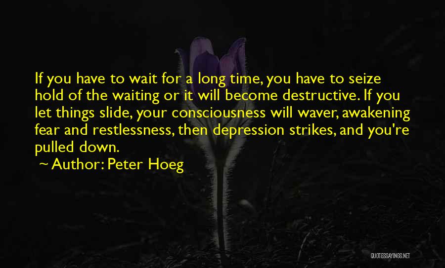 Peter Hoeg Quotes: If You Have To Wait For A Long Time, You Have To Seize Hold Of The Waiting Or It Will