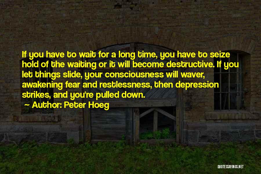 Peter Hoeg Quotes: If You Have To Wait For A Long Time, You Have To Seize Hold Of The Waiting Or It Will