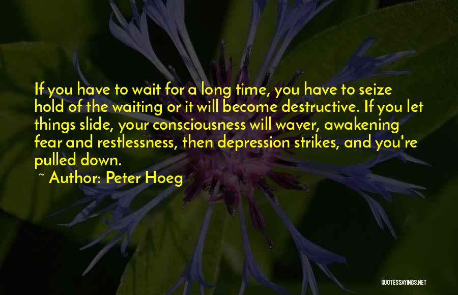 Peter Hoeg Quotes: If You Have To Wait For A Long Time, You Have To Seize Hold Of The Waiting Or It Will