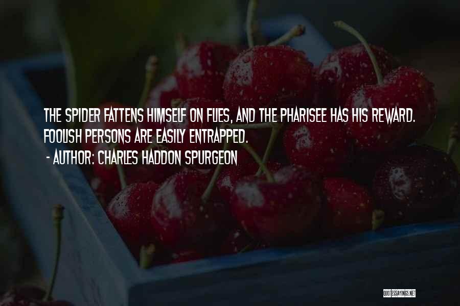 Charles Haddon Spurgeon Quotes: The Spider Fattens Himself On Flies, And The Pharisee Has His Reward. Foolish Persons Are Easily Entrapped.