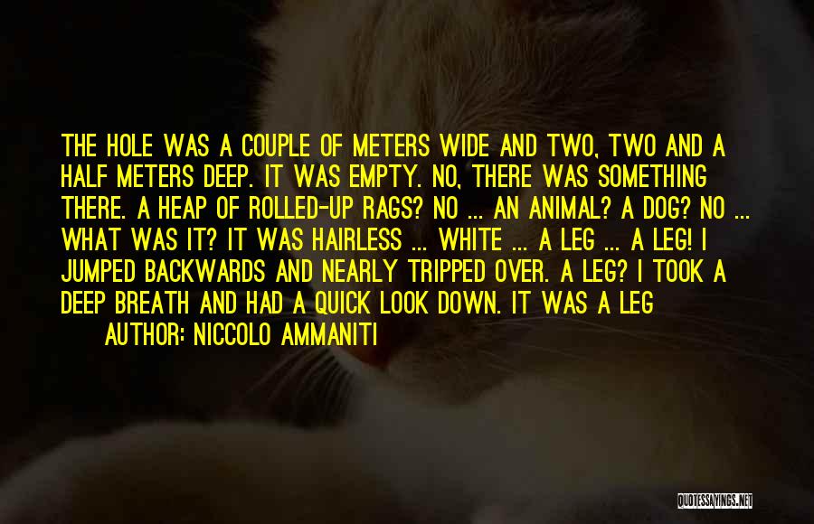 Niccolo Ammaniti Quotes: The Hole Was A Couple Of Meters Wide And Two, Two And A Half Meters Deep. It Was Empty. No,