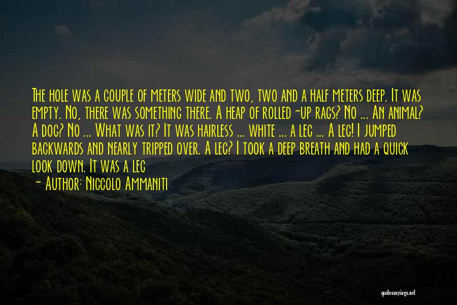 Niccolo Ammaniti Quotes: The Hole Was A Couple Of Meters Wide And Two, Two And A Half Meters Deep. It Was Empty. No,