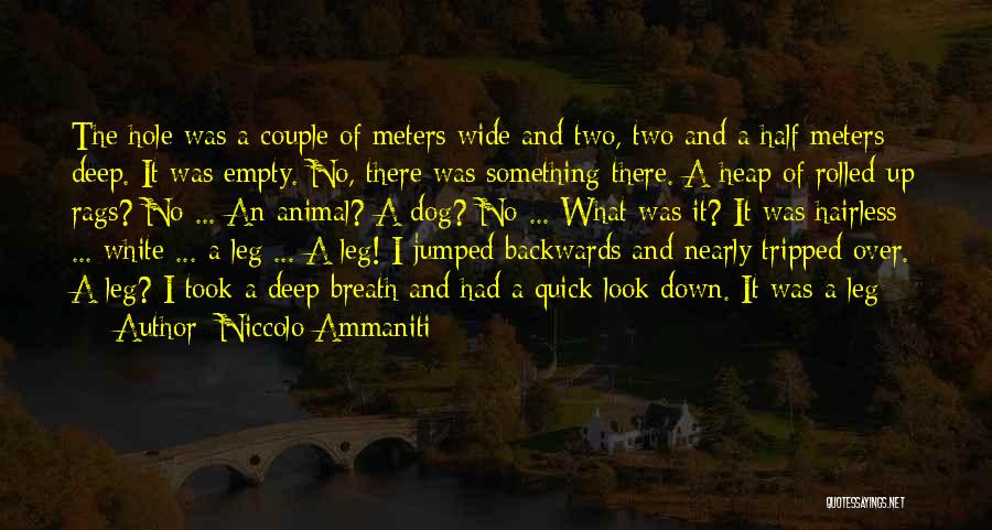 Niccolo Ammaniti Quotes: The Hole Was A Couple Of Meters Wide And Two, Two And A Half Meters Deep. It Was Empty. No,