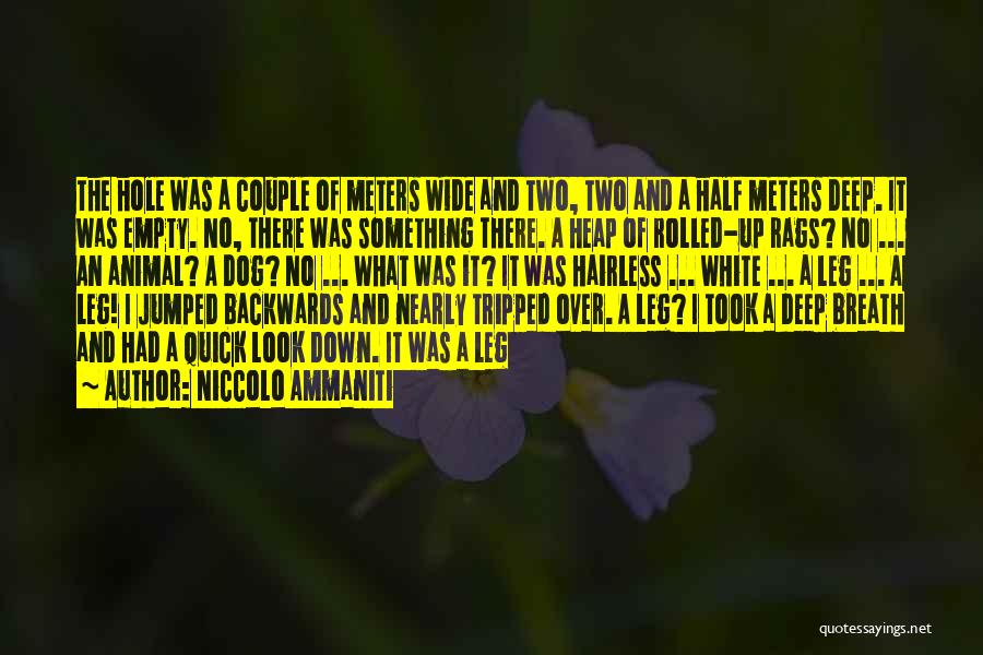 Niccolo Ammaniti Quotes: The Hole Was A Couple Of Meters Wide And Two, Two And A Half Meters Deep. It Was Empty. No,