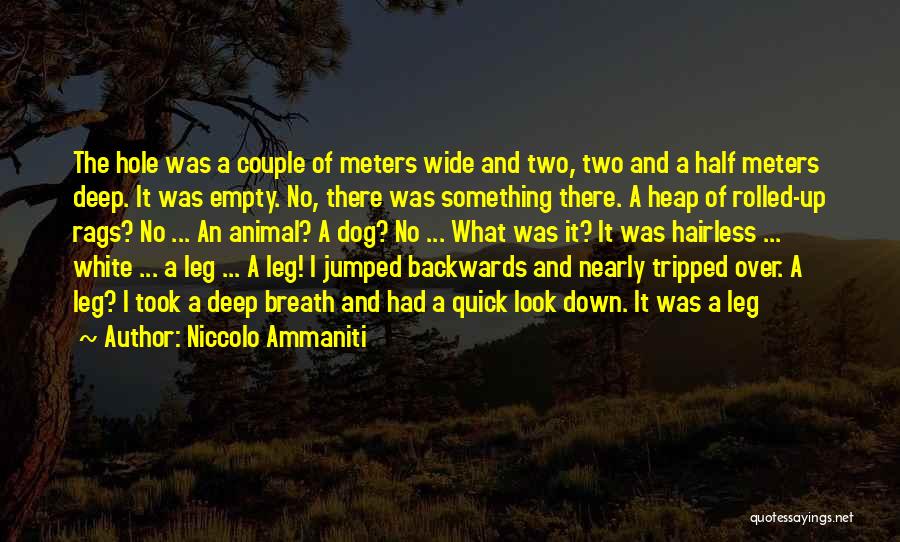 Niccolo Ammaniti Quotes: The Hole Was A Couple Of Meters Wide And Two, Two And A Half Meters Deep. It Was Empty. No,