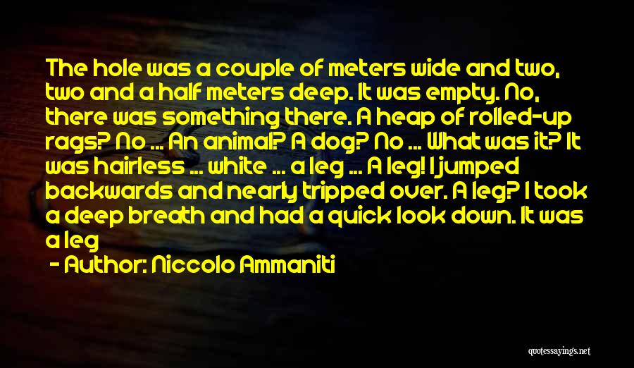 Niccolo Ammaniti Quotes: The Hole Was A Couple Of Meters Wide And Two, Two And A Half Meters Deep. It Was Empty. No,