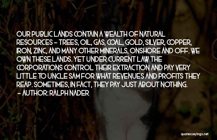 Ralph Nader Quotes: Our Public Lands Contain A Wealth Of Natural Resources - Trees, Oil, Gas, Coal, Gold, Silver, Copper, Iron, Zinc, And