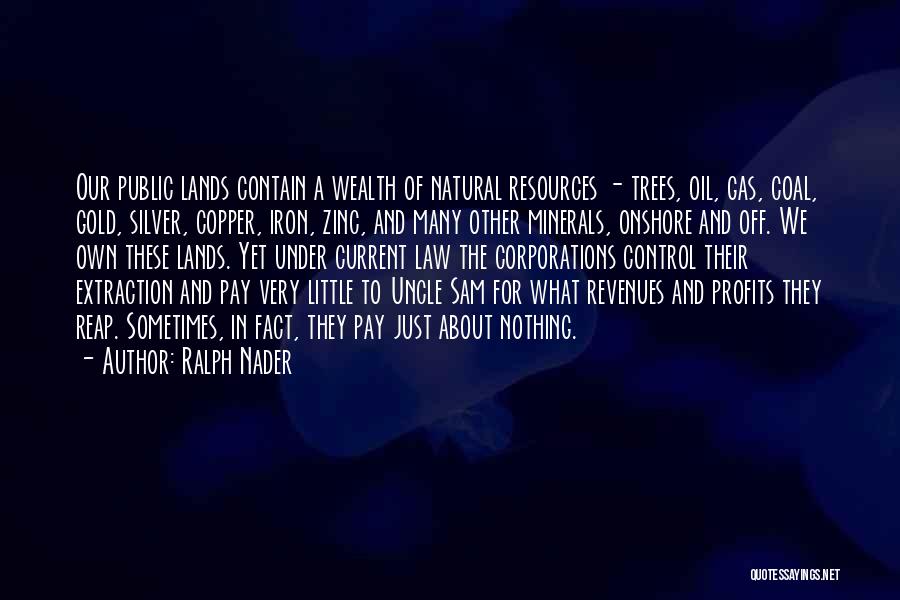 Ralph Nader Quotes: Our Public Lands Contain A Wealth Of Natural Resources - Trees, Oil, Gas, Coal, Gold, Silver, Copper, Iron, Zinc, And