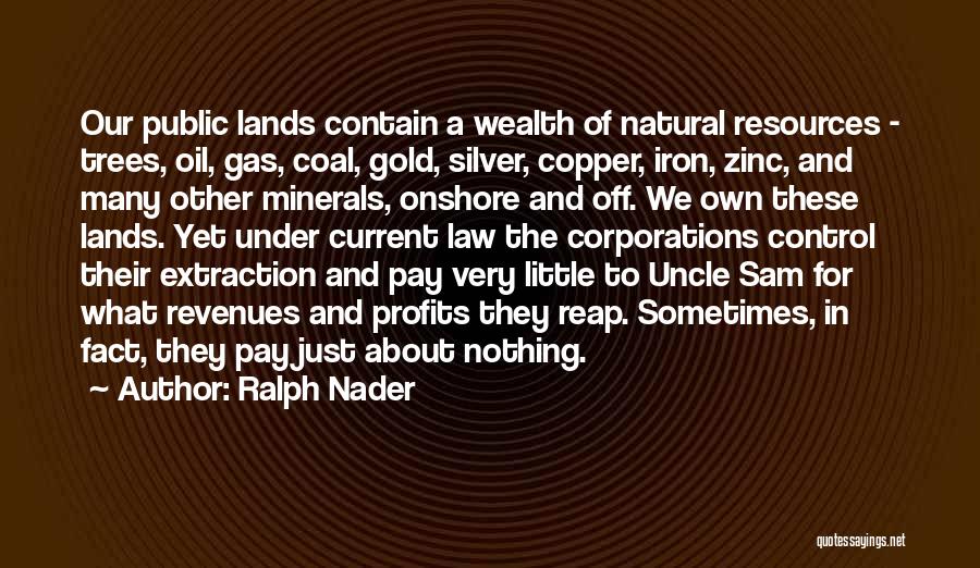 Ralph Nader Quotes: Our Public Lands Contain A Wealth Of Natural Resources - Trees, Oil, Gas, Coal, Gold, Silver, Copper, Iron, Zinc, And