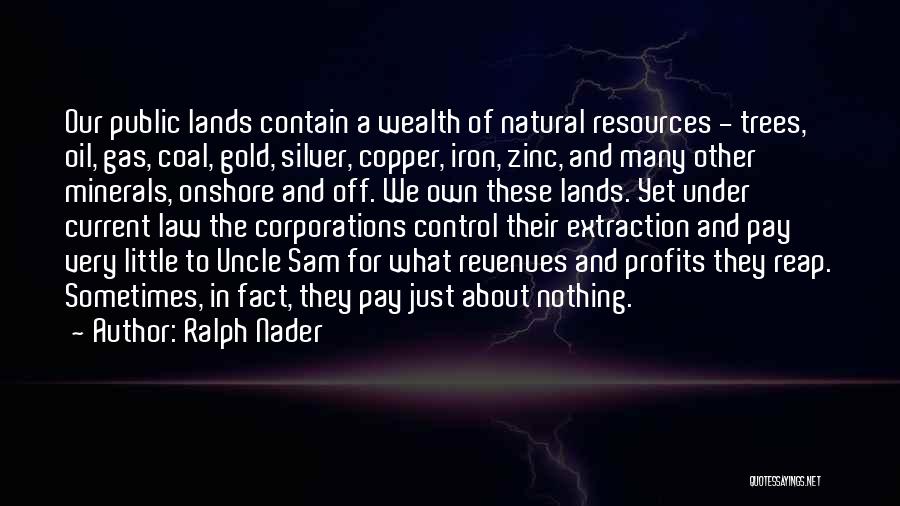 Ralph Nader Quotes: Our Public Lands Contain A Wealth Of Natural Resources - Trees, Oil, Gas, Coal, Gold, Silver, Copper, Iron, Zinc, And