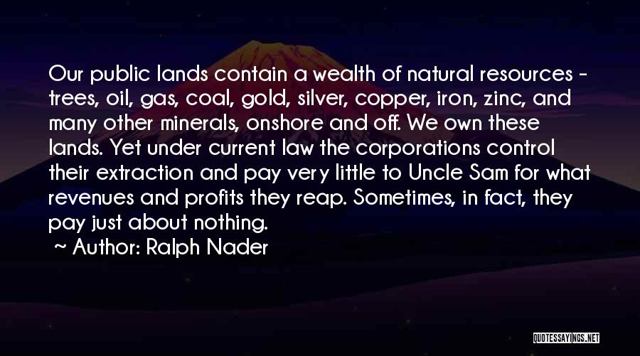 Ralph Nader Quotes: Our Public Lands Contain A Wealth Of Natural Resources - Trees, Oil, Gas, Coal, Gold, Silver, Copper, Iron, Zinc, And