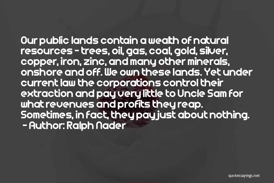 Ralph Nader Quotes: Our Public Lands Contain A Wealth Of Natural Resources - Trees, Oil, Gas, Coal, Gold, Silver, Copper, Iron, Zinc, And