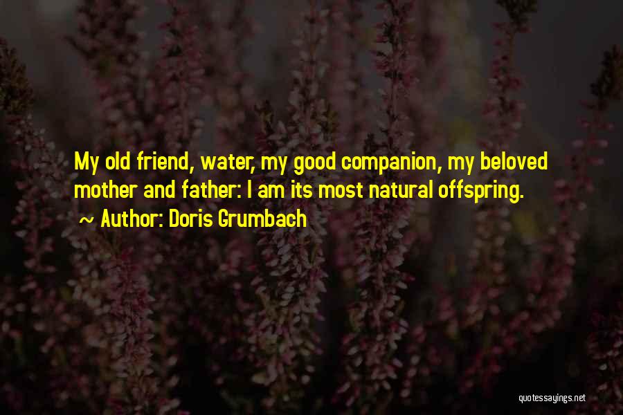 Doris Grumbach Quotes: My Old Friend, Water, My Good Companion, My Beloved Mother And Father: I Am Its Most Natural Offspring.