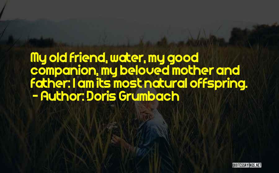 Doris Grumbach Quotes: My Old Friend, Water, My Good Companion, My Beloved Mother And Father: I Am Its Most Natural Offspring.