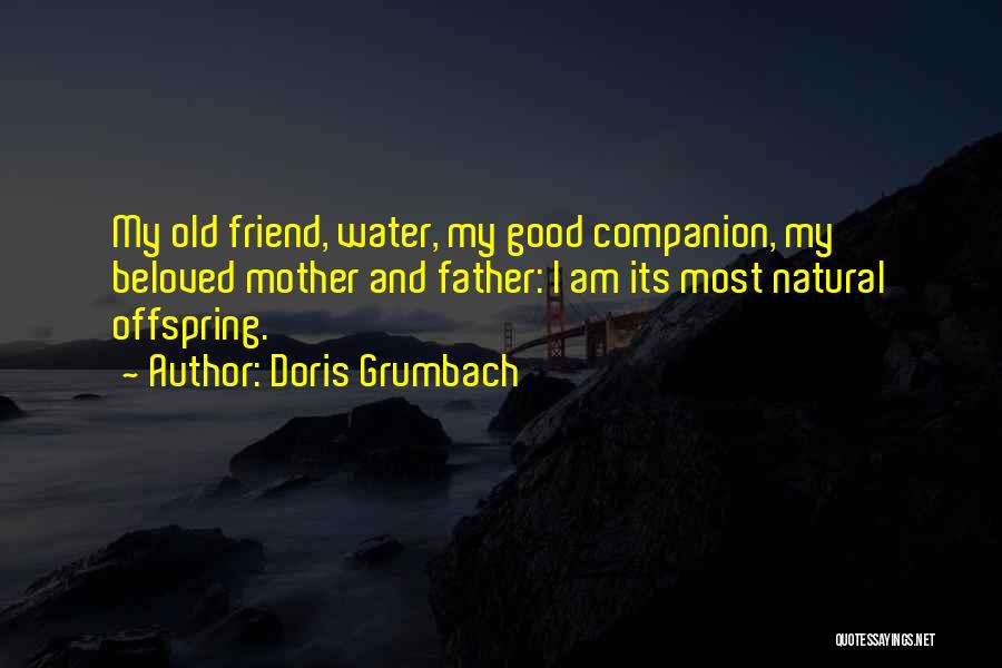 Doris Grumbach Quotes: My Old Friend, Water, My Good Companion, My Beloved Mother And Father: I Am Its Most Natural Offspring.