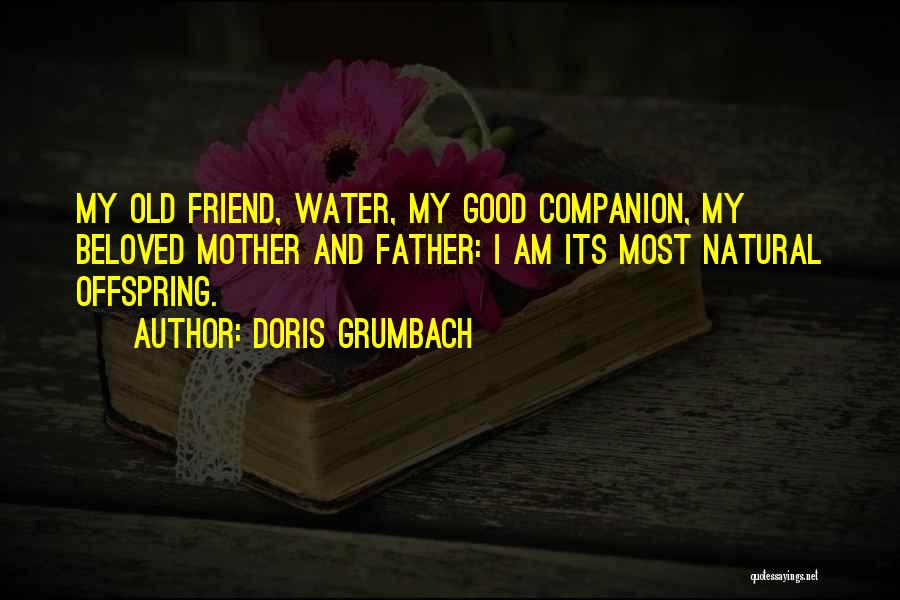 Doris Grumbach Quotes: My Old Friend, Water, My Good Companion, My Beloved Mother And Father: I Am Its Most Natural Offspring.