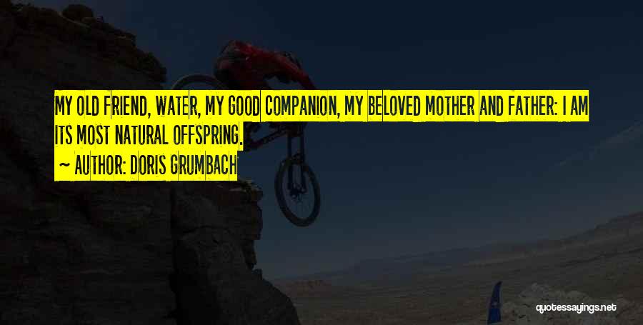 Doris Grumbach Quotes: My Old Friend, Water, My Good Companion, My Beloved Mother And Father: I Am Its Most Natural Offspring.