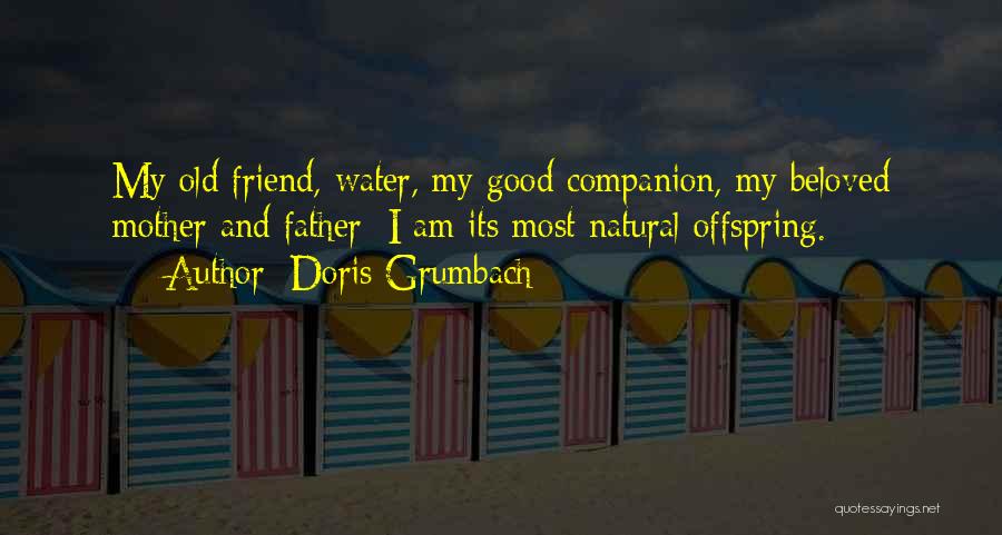 Doris Grumbach Quotes: My Old Friend, Water, My Good Companion, My Beloved Mother And Father: I Am Its Most Natural Offspring.