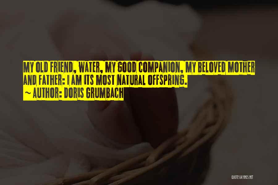 Doris Grumbach Quotes: My Old Friend, Water, My Good Companion, My Beloved Mother And Father: I Am Its Most Natural Offspring.