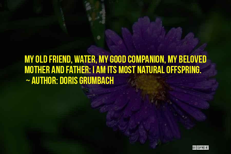 Doris Grumbach Quotes: My Old Friend, Water, My Good Companion, My Beloved Mother And Father: I Am Its Most Natural Offspring.