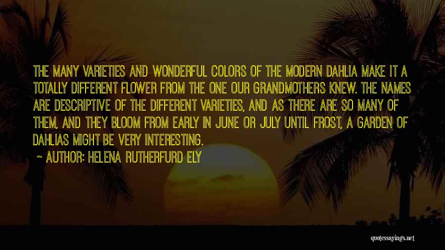 Helena Rutherfurd Ely Quotes: The Many Varieties And Wonderful Colors Of The Modern Dahlia Make It A Totally Different Flower From The One Our