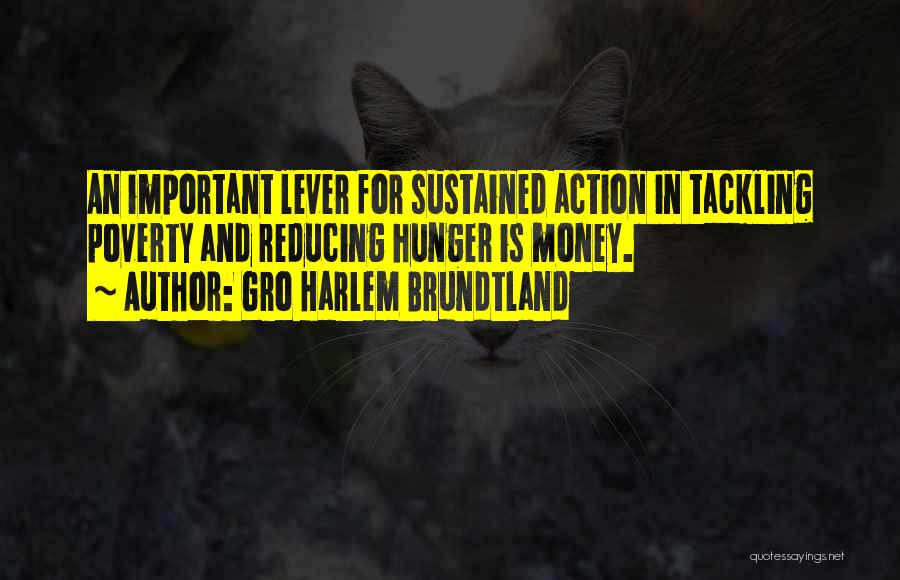 Gro Harlem Brundtland Quotes: An Important Lever For Sustained Action In Tackling Poverty And Reducing Hunger Is Money.